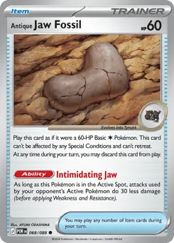 Antique Jaw Fossil