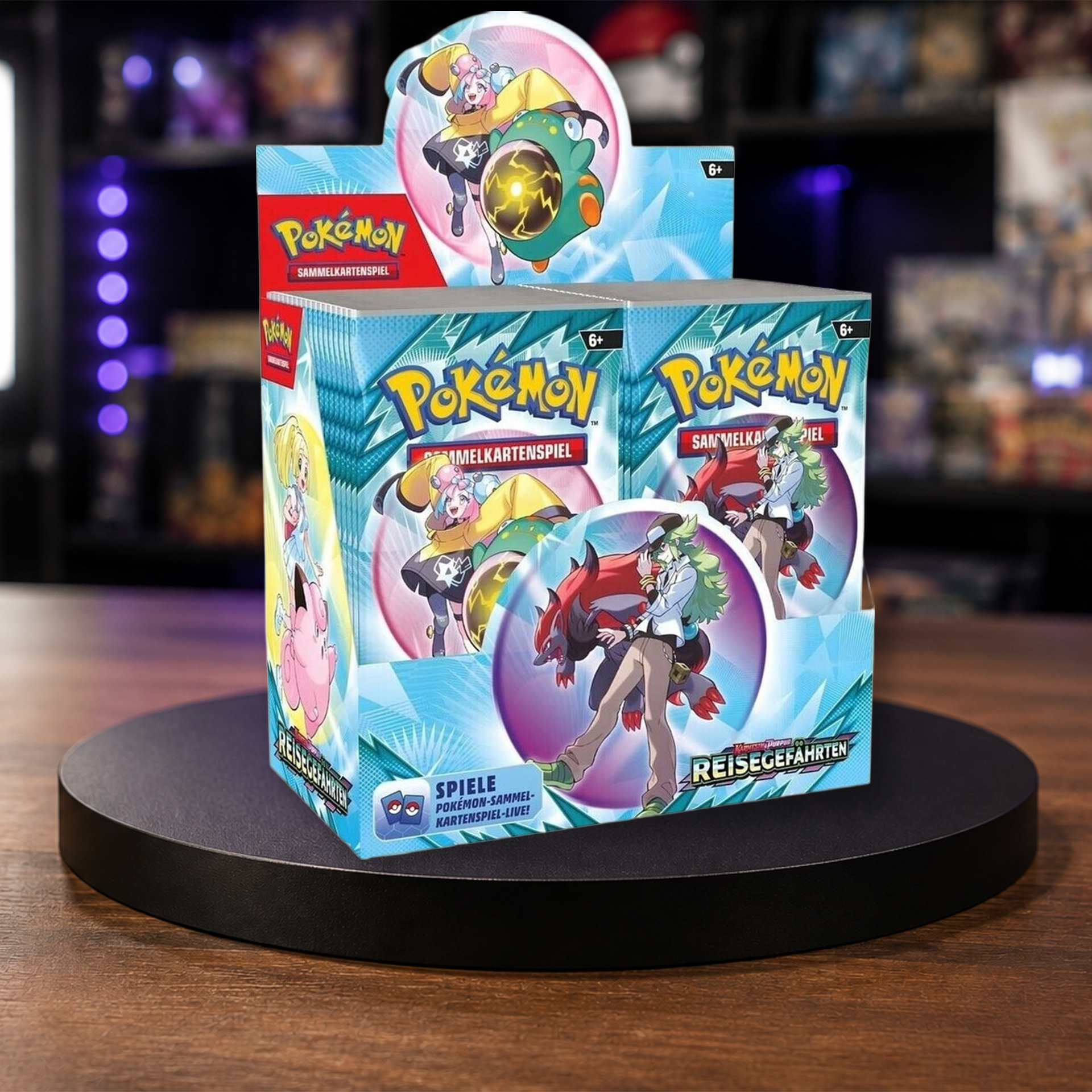 Pokémon Reisegefährten 36er Display DE