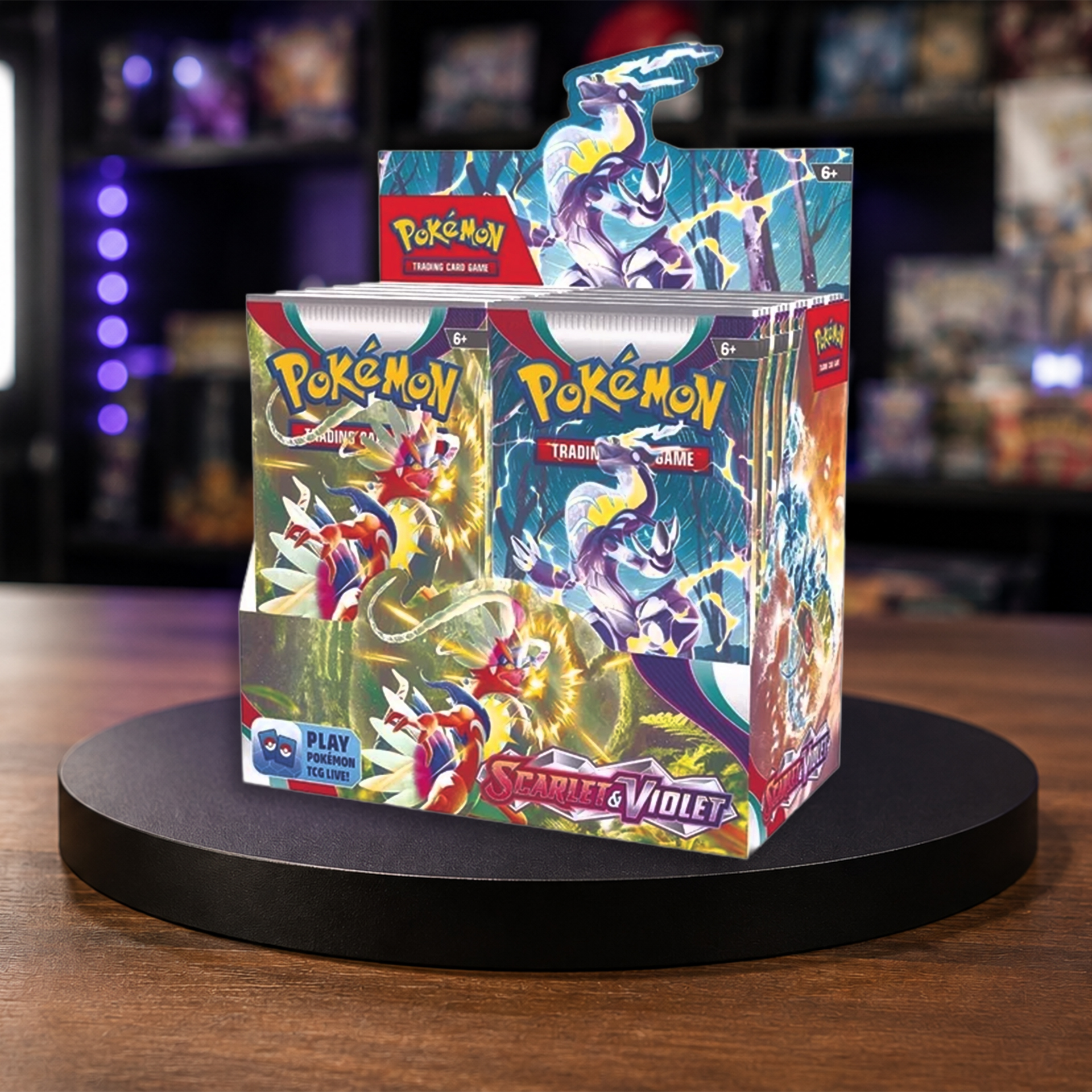 Pokémon Karmesin & Purpur Base Display EN
